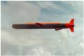 Little Red Guided Missle